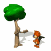 <Right click -> Save as> to download beaver_scaring_tree_md_wht.gif!