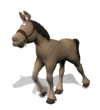 <Right click -> Save as> to download horse_with_halter_trotting_md_wht.gif!