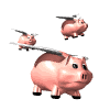 <Right click -> Save as> to download pig_group_fly_md_wht.gif!