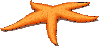 <Right click -> Save as> to download starfish.gif!